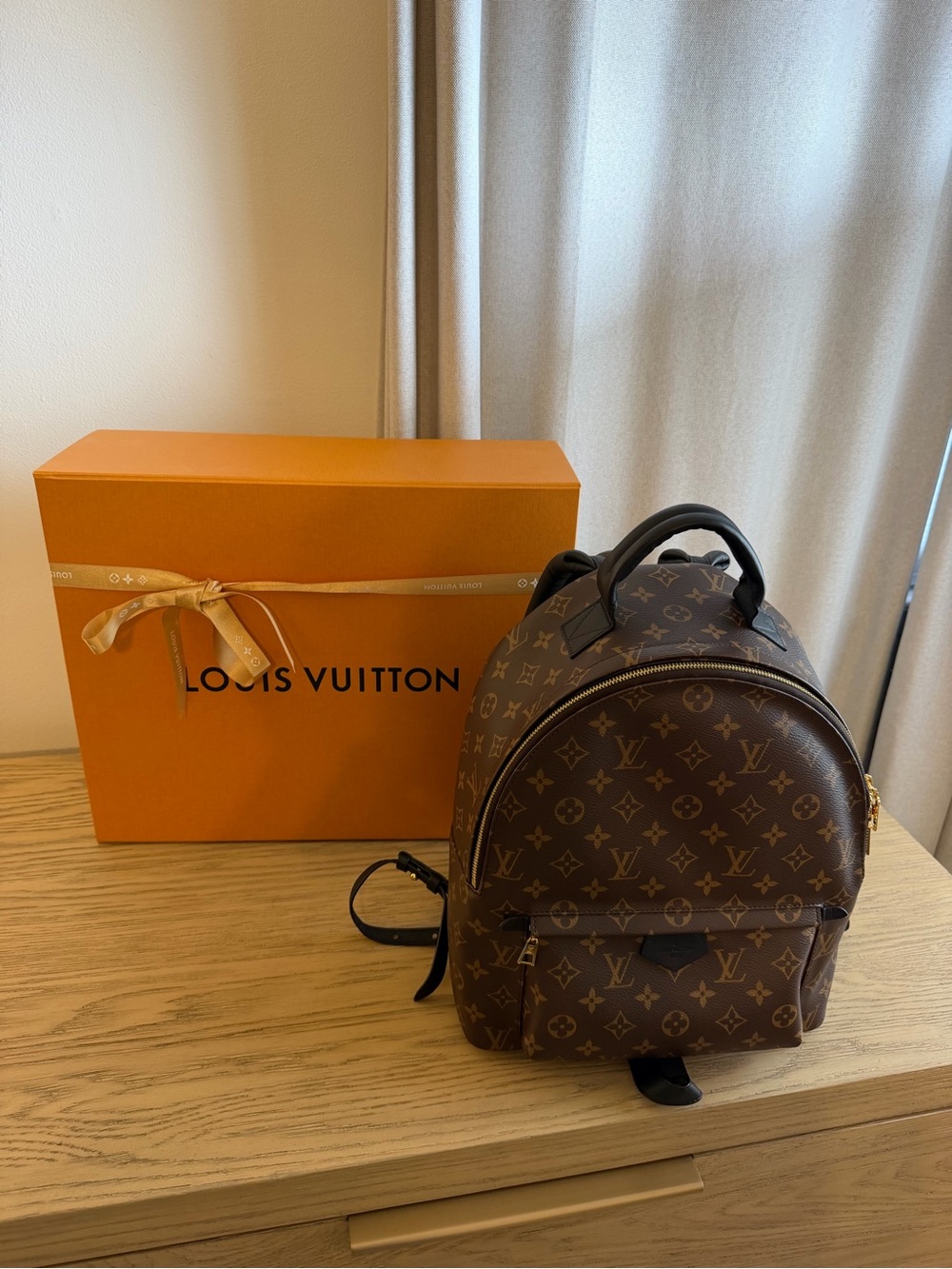 Louis Vuitton Monogram Palm Springs MM Backpack